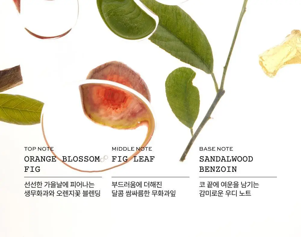 [NEW/키링증정] 휩드 쥬이시 헤어 퍼퓸 15ml + 키링 기획 (3종 중 택1) 상세페이지 13